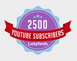 2500 YouTube Subscriber Milestone